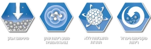 אברקלין מולטיקט 10 ליטר Ever Clean