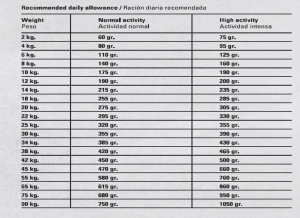 גוסבי סלמון מיני