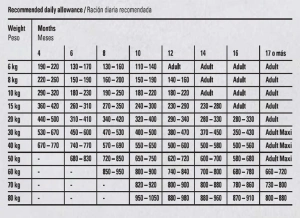 גוסבי ג’וניור מדיום