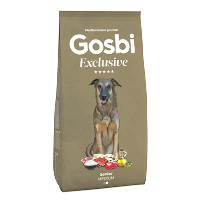 גוסבי סניור מדיום