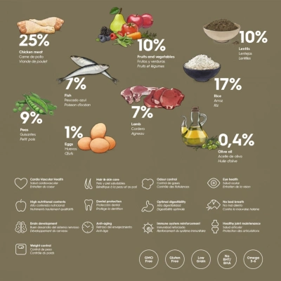 גוסבי סניור מדיום