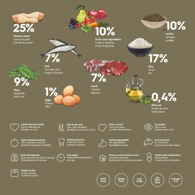 גוסבי סניור מדיום