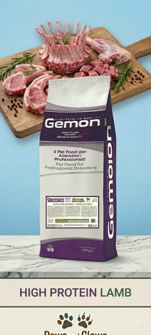 Gemon lamb ג'מון כבש