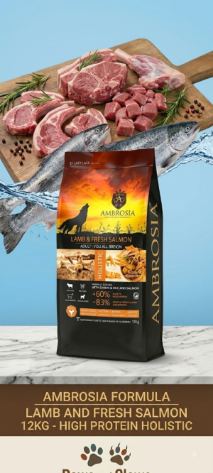 אמברוסיה כבש וסלמון ללא דגנים Ambrosia lamb &salmon