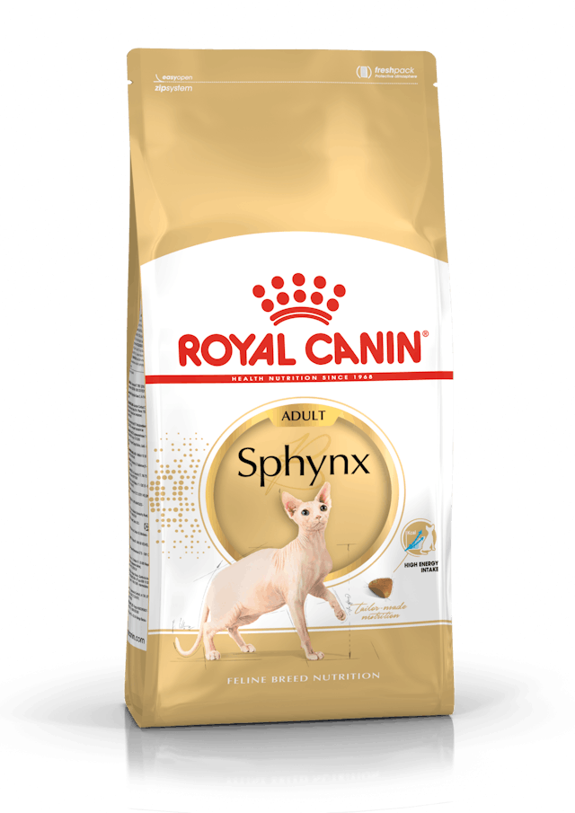 רויאל קנין ספינקס (4ק''ג)