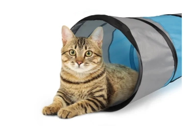 מנהרה - משחק לחתולים