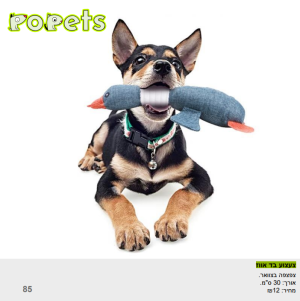 צעצוע בד אווז