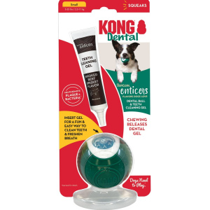 קונג מארז כדור + ג'ל לשיניים PDB1 L