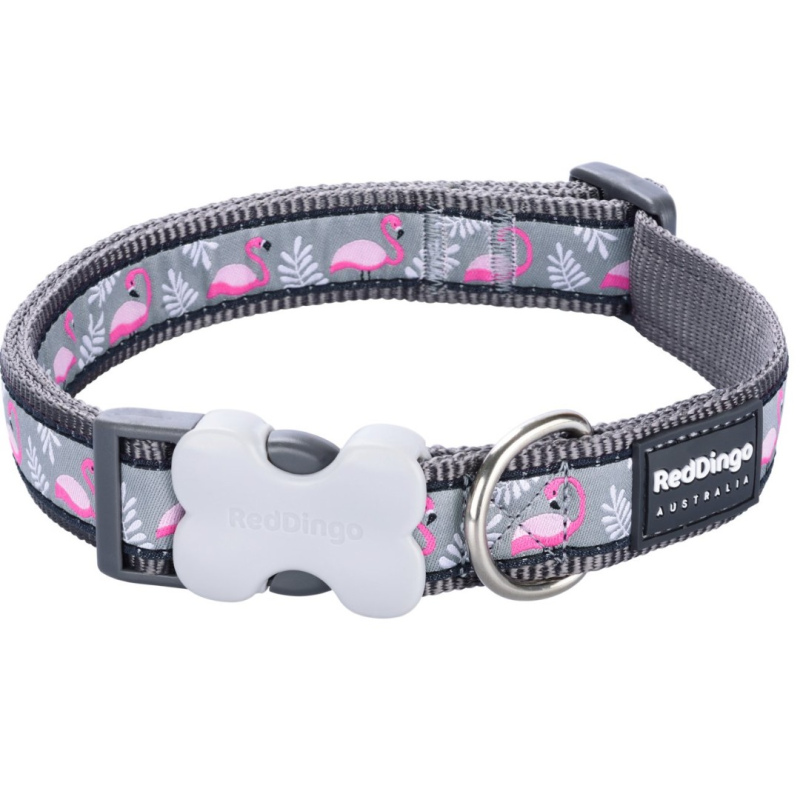 רד דינגו קולר לכלב S אפור פלמינגו