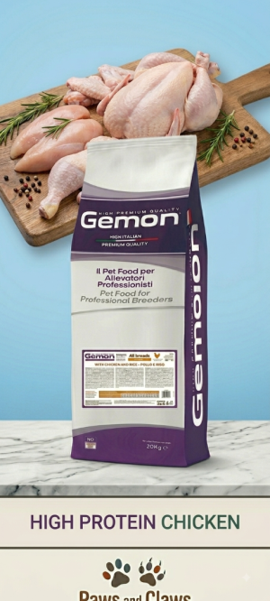 Gemon chicken ג'מון עוף